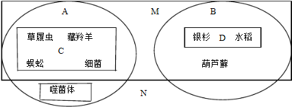 菁優(yōu)網