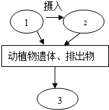 菁優(yōu)網(wǎng)