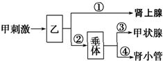 菁優(yōu)網(wǎng)