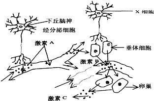 菁優(yōu)網(wǎng)