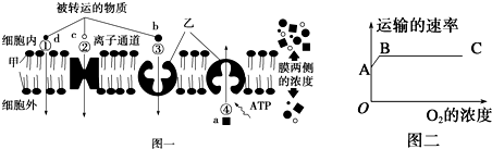 菁優(yōu)網(wǎng)