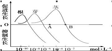 菁優(yōu)網(wǎng)