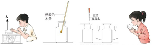 菁優(yōu)網