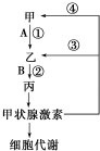 菁優(yōu)網(wǎng)