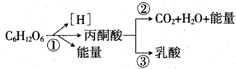 菁優(yōu)網(wǎng)