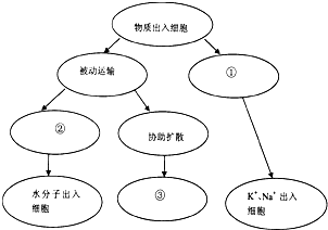 菁優(yōu)網(wǎng)