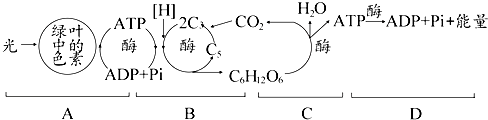 菁優(yōu)網(wǎng)