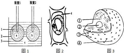 菁優(yōu)網