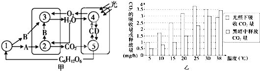 菁優(yōu)網(wǎng)