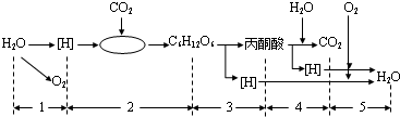 菁優(yōu)網(wǎng)