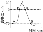 菁優(yōu)網(wǎng)