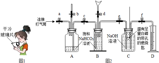 菁優(yōu)網(wǎng)