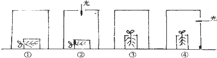 菁優(yōu)網