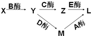 菁優(yōu)網(wǎng)