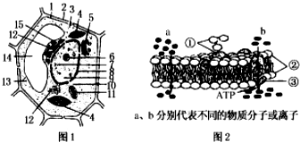 菁優(yōu)網(wǎng)