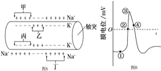 菁優(yōu)網(wǎng)