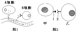 菁優(yōu)網