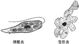 菁優(yōu)網