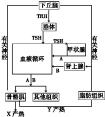 菁優(yōu)網(wǎng)