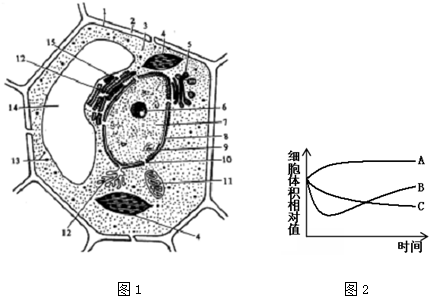 菁優(yōu)網(wǎng)