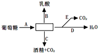 菁優(yōu)網(wǎng)