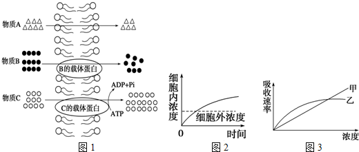 菁優(yōu)網(wǎng)