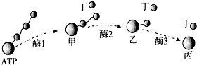 菁優(yōu)網(wǎng)