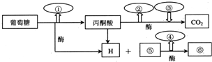 菁優(yōu)網(wǎng)