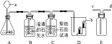 菁優(yōu)網(wǎng)