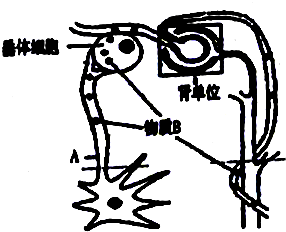 菁優(yōu)網(wǎng)