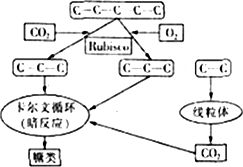 菁優(yōu)網(wǎng)