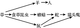 菁優(yōu)網(wǎng)