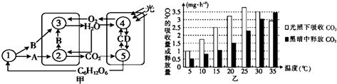 菁優(yōu)網