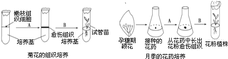 菁優(yōu)網