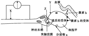 菁優(yōu)網(wǎng)