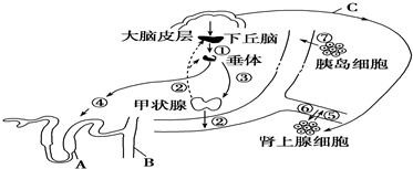 菁優(yōu)網(wǎng)