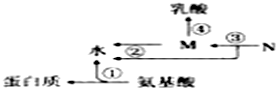 菁優(yōu)網(wǎng)