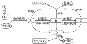 菁優(yōu)網(wǎng)