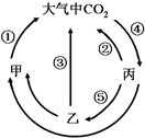 菁優(yōu)網