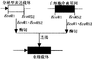 菁優(yōu)網(wǎng)