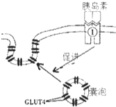 菁優(yōu)網