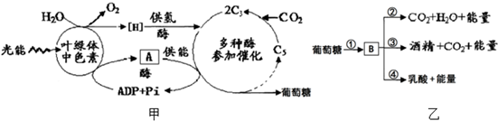 菁優(yōu)網(wǎng)