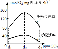 菁優(yōu)網