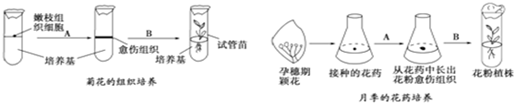 菁優(yōu)網