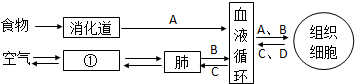 菁優(yōu)網(wǎng)