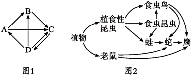 菁優(yōu)網