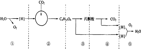 菁優(yōu)網(wǎng)