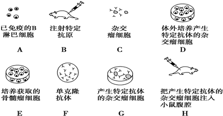 菁優(yōu)網