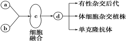 菁優(yōu)網