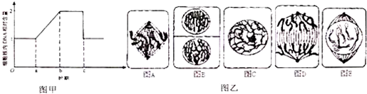 菁優(yōu)網